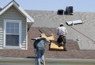 Finnieskylights-2.jpg; ?>